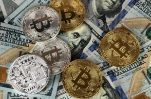 2026 Wealth Building: The