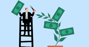 Best Passive Income Streams
