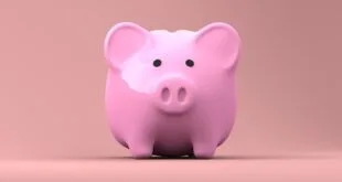 Best Company To Invest