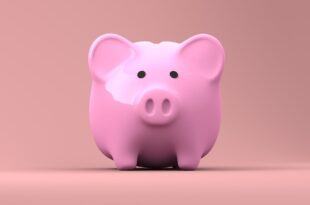 Best Company To Invest