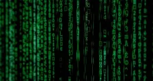 Immediate Future: Navigating Algorithmic