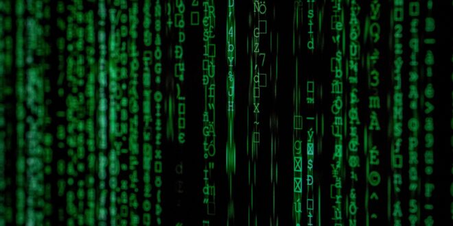 Immediate Future: Navigating Algorithmic